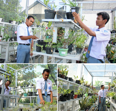 Green House